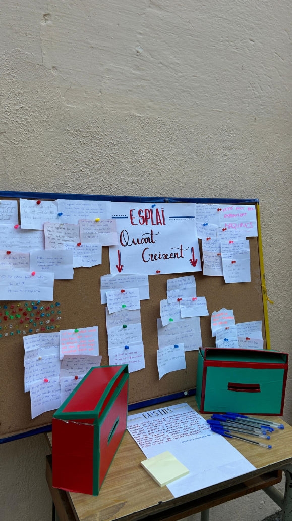 WhatsApp Image 2026-02-23 at 16.25.13