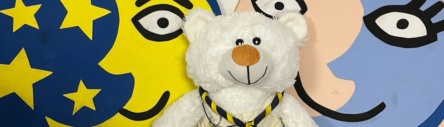 WhatsApp Image 2026-02-23 at 16.26.22